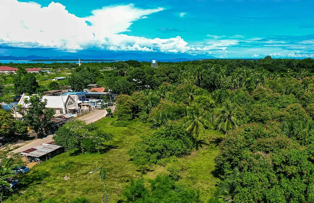 ✨ Start 2026 Strong: 50% Off Reservation Fees